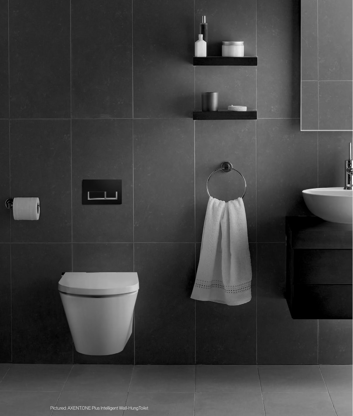 Axent wall-hung fixtures