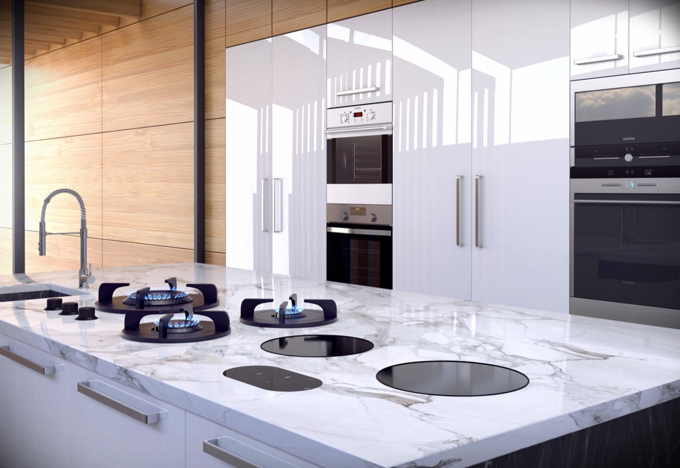 Tulip Cooking induction gas combo